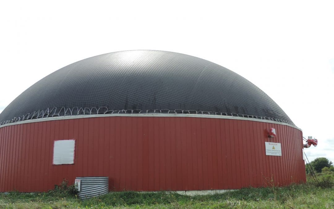 Usina de biogas