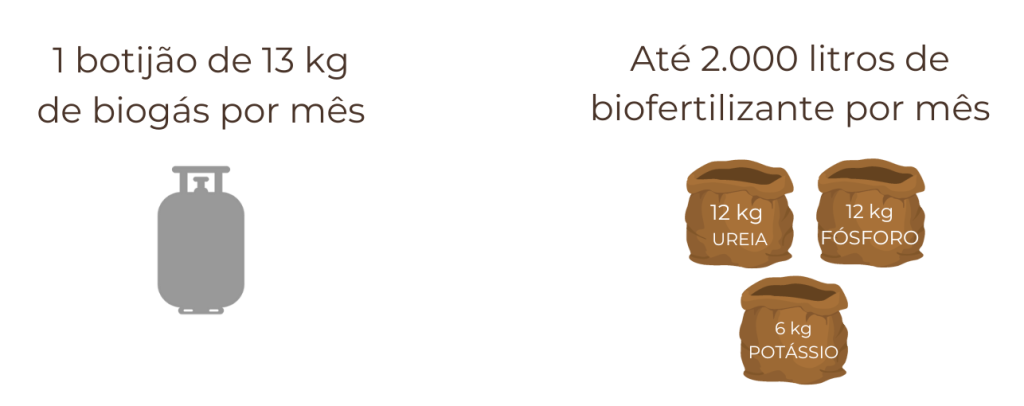 Retorno do Biodigestor Rural de 2m³